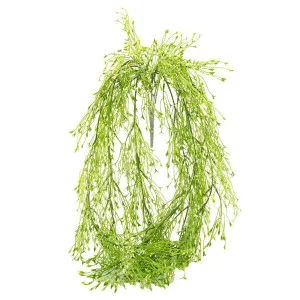 Grass Vine Hanging 75Cm by Florabelle Living, a Plants for sale on Style Sourcebook