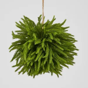 Norfolk Pine Ball Large by Florabelle Living, a Plants for sale on Style Sourcebook