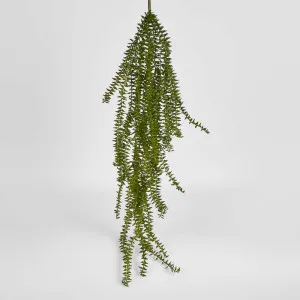 Clubmoss Hanging Vine by Florabelle Living, a Plants for sale on Style Sourcebook