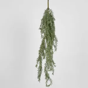 Rosemary Hanging Stem 107Cm by Florabelle Living, a Plants for sale on Style Sourcebook