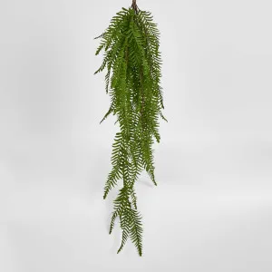 Sword Fern Hanging Bush by Florabelle Living, a Plants for sale on Style Sourcebook