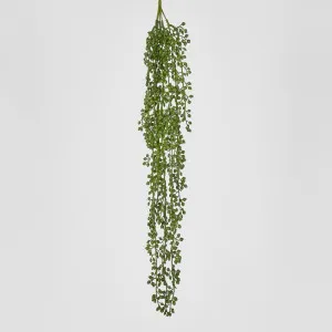 Real Touch Senecio Vine 73Cm by Florabelle Living, a Plants for sale on Style Sourcebook