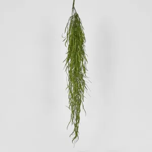 Hanging Grass Vine by Florabelle Living, a Plants for sale on Style Sourcebook