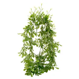 Boxwood Vine Hanging 70Cm White by Florabelle Living, a Plants for sale on Style Sourcebook