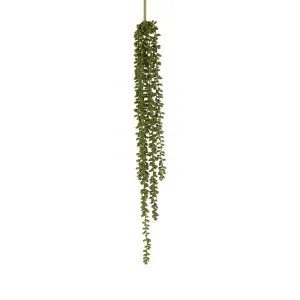 String Of Pearls Stem by Florabelle Living, a Plants for sale on Style Sourcebook