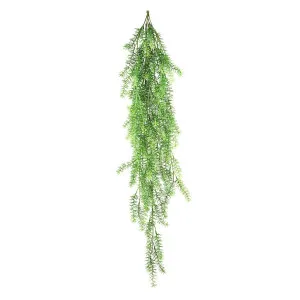 Asparagus Hanging Bush 1.05M by Florabelle Living, a Plants for sale on Style Sourcebook
