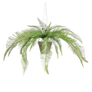 Hanging Fern In Pot by Florabelle Living, a Plants for sale on Style Sourcebook
