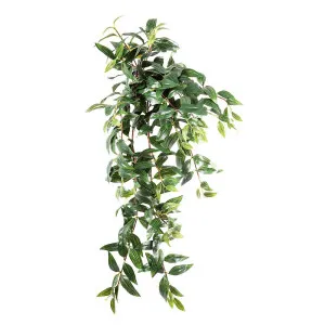 Japanese Bamboo Hanging Bush 78Cm by Florabelle Living, a Plants for sale on Style Sourcebook