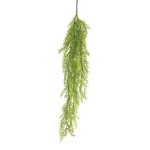Vine Jewel Hanging 80Cm by Florabelle Living, a Plants for sale on Style Sourcebook
