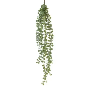 Succulent Hanging Vine 85Cm by Florabelle Living, a Plants for sale on Style Sourcebook