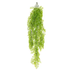 Fern Hanging 80Cm by Florabelle Living, a Plants for sale on Style Sourcebook