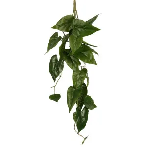 Anthurium Vine Real Touch 5 Branches by Florabelle Living, a Plants for sale on Style Sourcebook