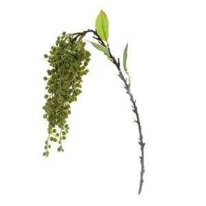 Berry Seed Spray 55Cm by Florabelle Living, a Plants for sale on Style Sourcebook