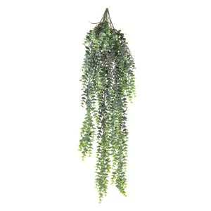 Fern Staghorn Hanging Grey And Green 80Cm by Florabelle Living, a Plants for sale on Style Sourcebook