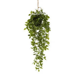 Hanging Leaves With Black Pot by Florabelle Living, a Plants for sale on Style Sourcebook