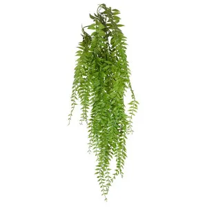 Hanging Forest Fern Leaves Green by Florabelle Living, a Plants for sale on Style Sourcebook