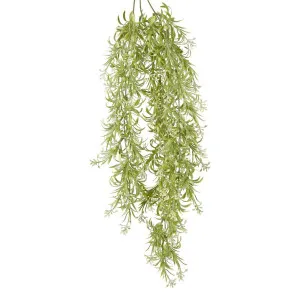 Astible Hanging Vine White Green by Florabelle Living, a Plants for sale on Style Sourcebook
