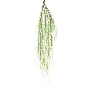 Grass Bush Vine 1M Green by Florabelle Living, a Plants for sale on Style Sourcebook