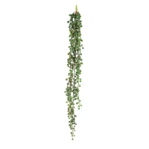 Pearl Hanging 65Cm by Florabelle Living, a Plants for sale on Style Sourcebook