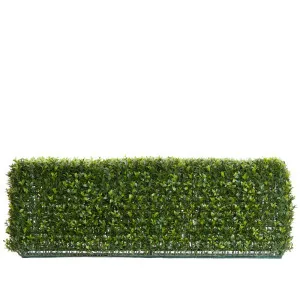 Boxwood Hedge 25X95Cm by Florabelle Living, a Plants for sale on Style Sourcebook