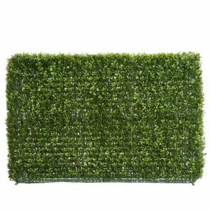 Boxwood Hedge 55X95Cm by Florabelle Living, a Plants for sale on Style Sourcebook