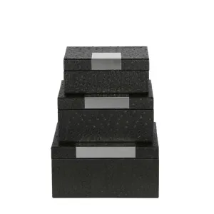Florence Rectangle Box Set Of 3 Black by Florabelle Living, a Statues & Ornaments for sale on Style Sourcebook