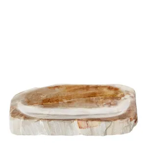 Binga Petrified Wood Soap Dish by Florabelle Living, a Statues & Ornaments for sale on Style Sourcebook