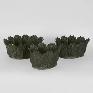 Kale Pots Set Of 3 Charcoal by Florabelle Living, a Statues & Ornaments for sale on Style Sourcebook