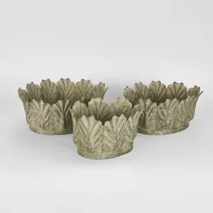 Kale Pots Set Of 3 Grey Wash by Florabelle Living, a Statues & Ornaments for sale on Style Sourcebook