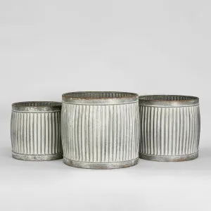 Ribbed Planter Set Of 3 by Florabelle Living, a Statues & Ornaments for sale on Style Sourcebook