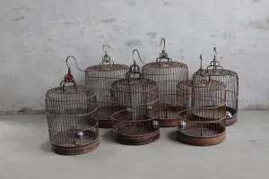 Beijing Birdcage Large by Florabelle Living, a Statues & Ornaments for sale on Style Sourcebook