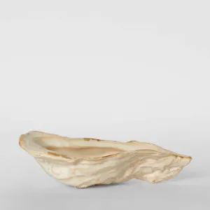 Oyster Shell Décor 1 by Florabelle Living, a Statues & Ornaments for sale on Style Sourcebook