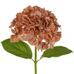 Hydrangea Stem Soft Touch 50Cm Brown by Florabelle Living, a Plants for sale on Style Sourcebook
