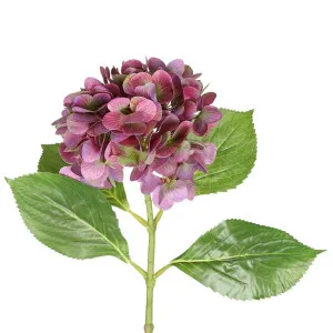Hydrangea 67Cm Light Pink by Florabelle Living, a Plants for sale on Style Sourcebook