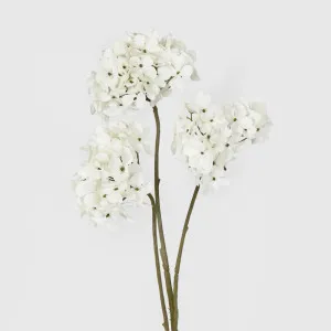 Hydrangea Spray With 3 Heads White by Florabelle Living, a Plants for sale on Style Sourcebook