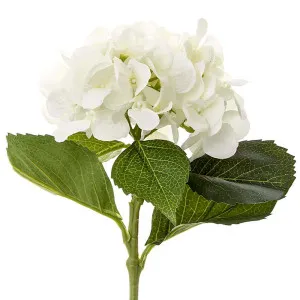 Hydrangea Water 49Cm White by Florabelle Living, a Plants for sale on Style Sourcebook