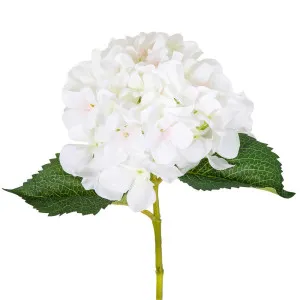 Hydrangea Stem 62Cm White by Florabelle Living, a Plants for sale on Style Sourcebook