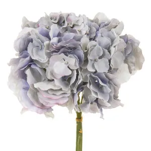 Hydrangea 50Cm Light Blue by Florabelle Living, a Plants for sale on Style Sourcebook