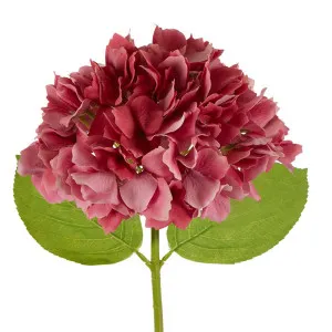 Hydrangea Stem Soft Touch 50Cm Dark Pink by Florabelle Living, a Plants for sale on Style Sourcebook