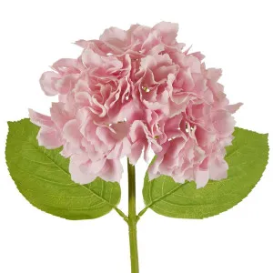 Hydrangea Stem Soft Touch 50Cm Mid Pink by Florabelle Living, a Plants for sale on Style Sourcebook