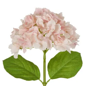 Hydrangea Stem Soft Touch 50Cm Pink by Florabelle Living, a Plants for sale on Style Sourcebook