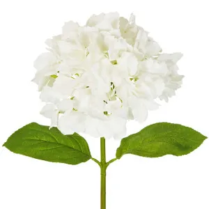 Hydrangea Stem Soft Touch 50Cm White by Florabelle Living, a Plants for sale on Style Sourcebook