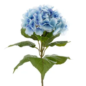 Hydrangea With Leaf 65Cm Light Blue by Florabelle Living, a Plants for sale on Style Sourcebook
