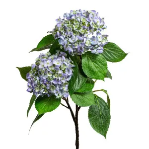 Hydrangea With Leaves 90Cm Blue by Florabelle Living, a Plants for sale on Style Sourcebook