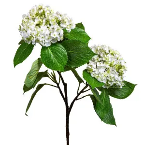 Hydrangea With Leaves 90Cm White by Florabelle Living, a Plants for sale on Style Sourcebook