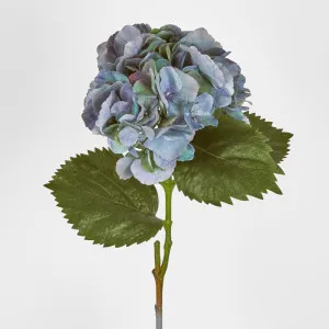Hydrangea Large Stem With Leaves 75Cm by Florabelle Living, a Plants for sale on Style Sourcebook