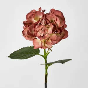 Hydrangea Large Stem With Leaves 75Cm by Florabelle Living, a Plants for sale on Style Sourcebook