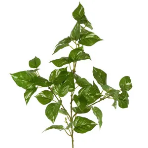 Pothos Leaf Spray Stem Light Green by Florabelle Living, a Plants for sale on Style Sourcebook