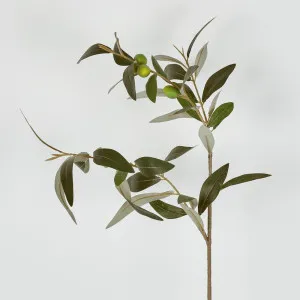 Olive Spray 76Cm by Florabelle Living, a Plants for sale on Style Sourcebook