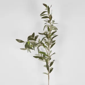 Olive Branch 115Cm by Florabelle Living, a Plants for sale on Style Sourcebook